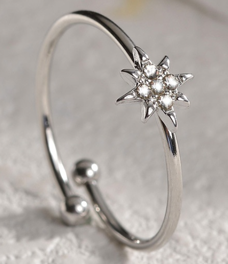 Mini Awn Star Ring -Gold or Silver
