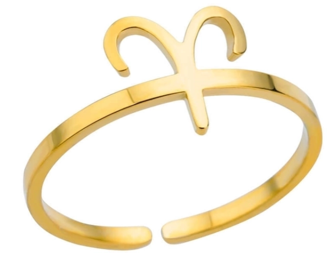 Zodiac Symbol Rings-Delicate Band