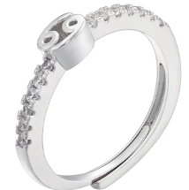 Zodiac Symbol Rings-Embedded Symbol Band in Gold or Silver