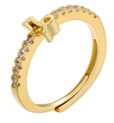 Zodiac Symbol Rings-Embedded Symbol Band in Gold or Silver