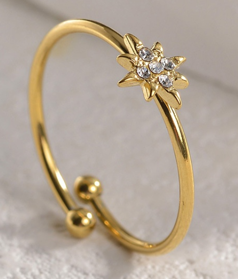 Mini Awn Star Ring -Gold or Silver