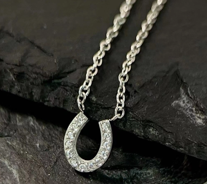 Lucky Path Horseshoe Necklace -Silver & Crystal Charm