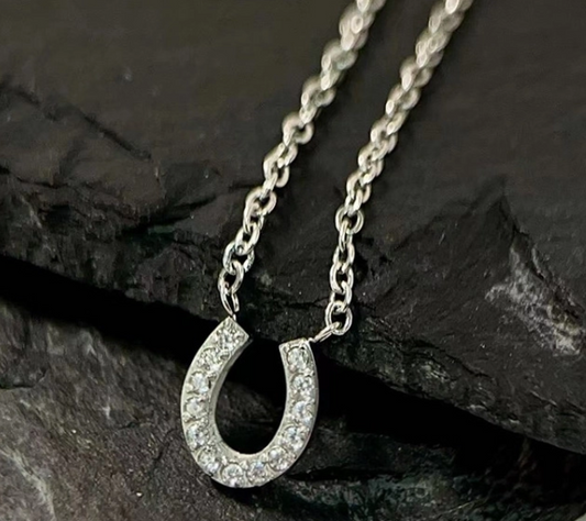 Lucky Path Horseshoe Necklace -Silver & Crystal Charm