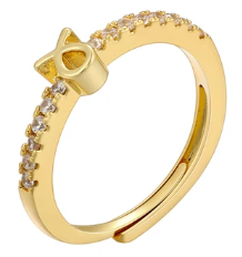 Zodiac Symbol Rings-Embedded Symbol Band in Gold or Silver